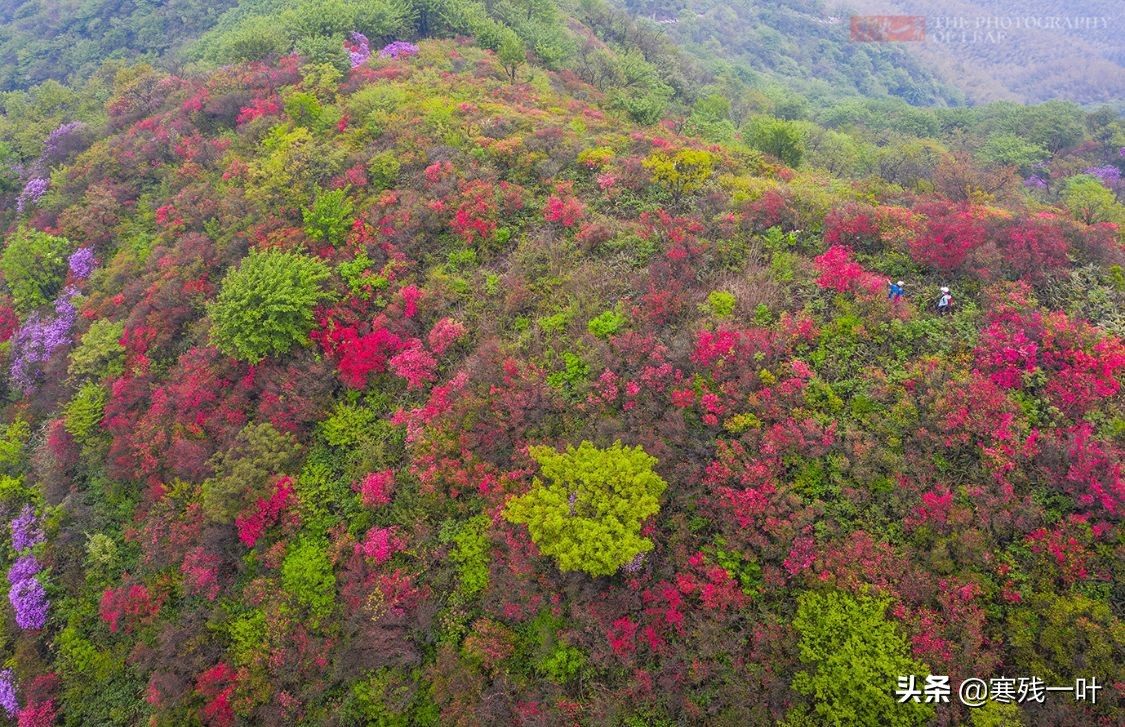 五一杭州旅游住宿最佳方案,五一旅游杭州出发3天最佳去处