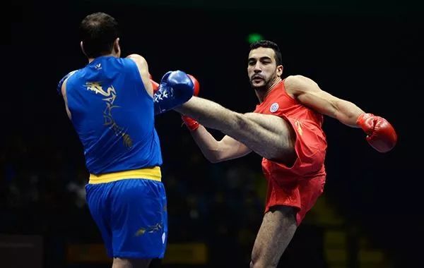 散打介绍简短文字,散打文章