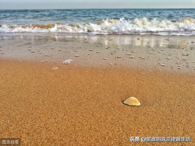 东戴河旅行真正的海景度假村,辽宁海边度假村自由行攻略