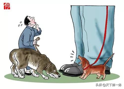 终于知道啥叫人仗狗势,什么叫狗仗人势搞笑视频