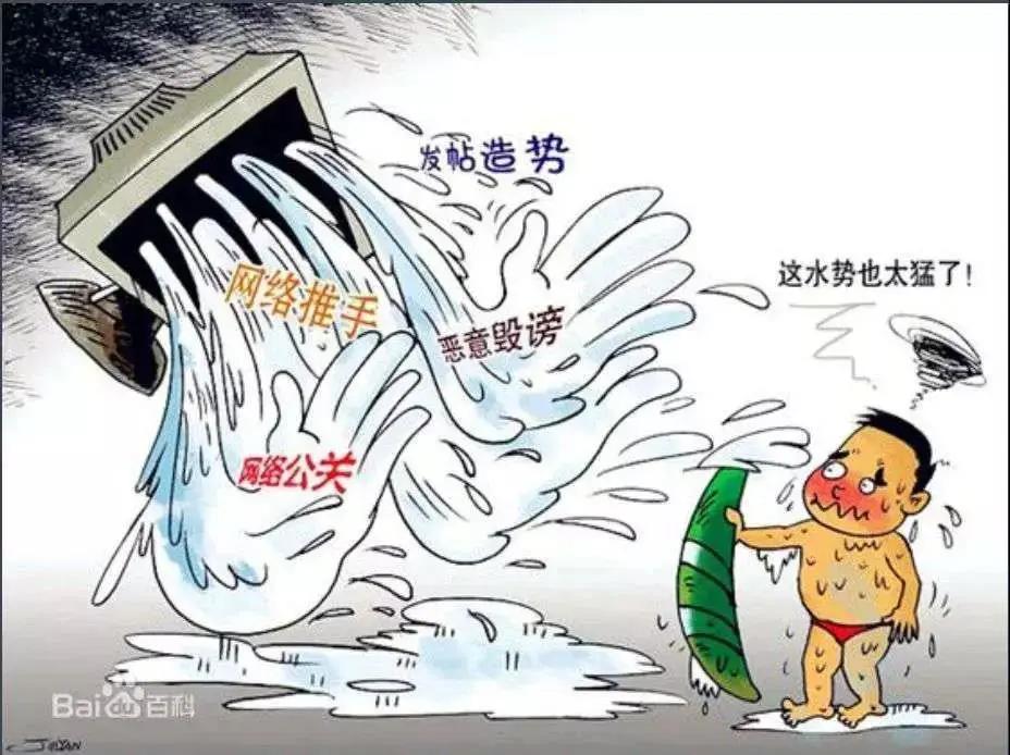 网络水军和网警,网警处罚案例