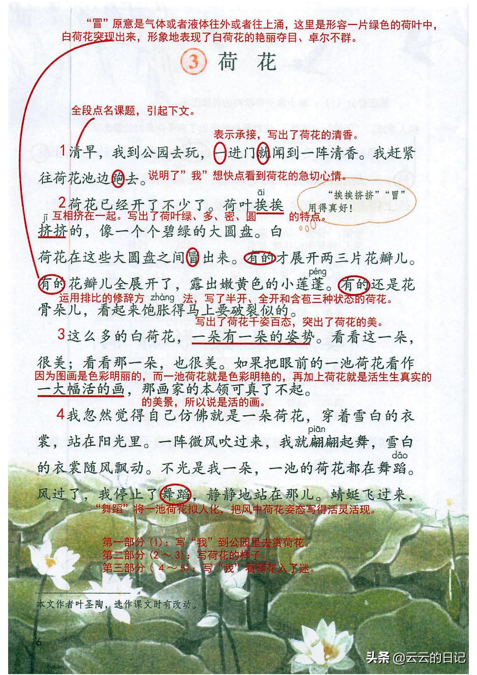 三年级下册语文笔记完整版讲解,三年级下册语文第一课注释