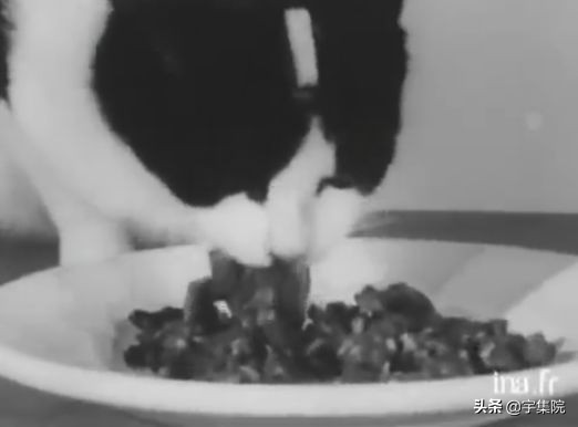 猫也曾上过太空？全世界仅有一只，还是黑猫警长同款