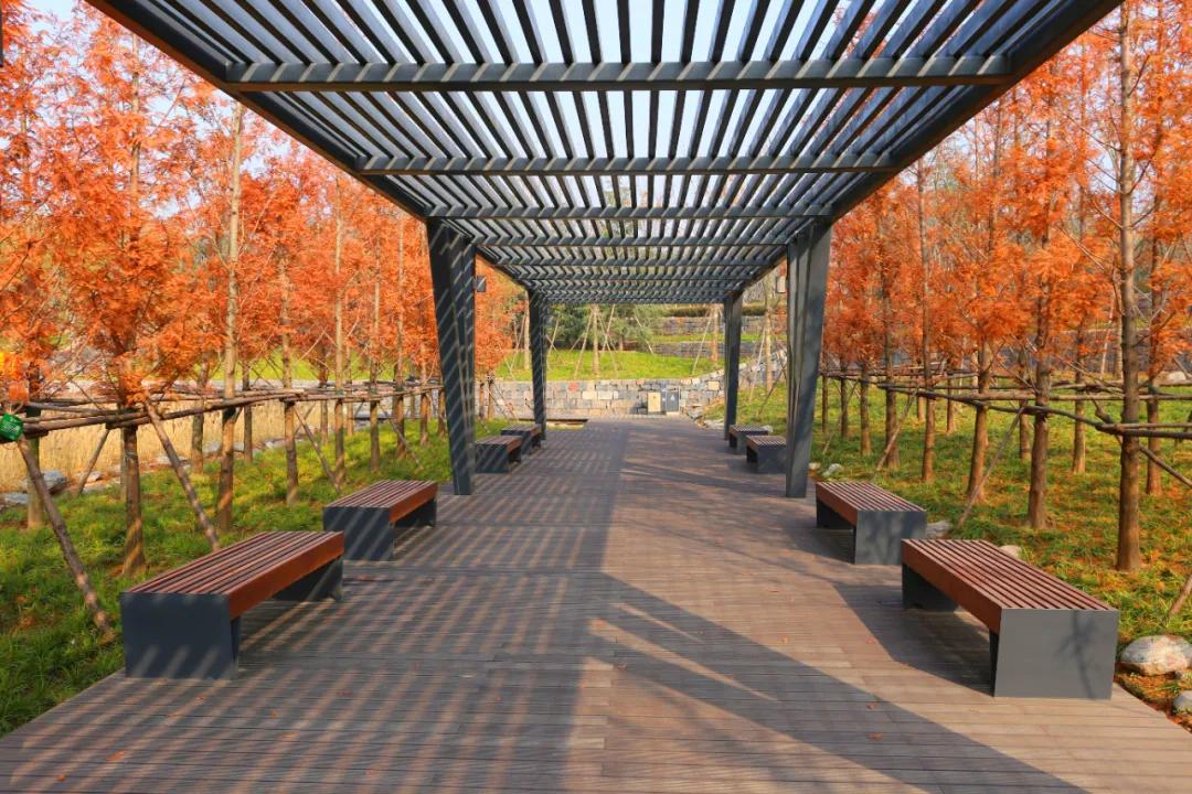 郑州航空港区CBD在什么位置,航空港区下半年新楼盘