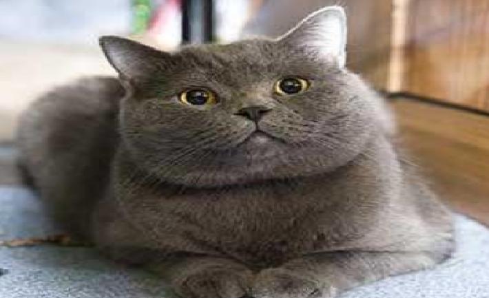 一个平凡的美的售后工程师生在疫情期间的工作小记(一)