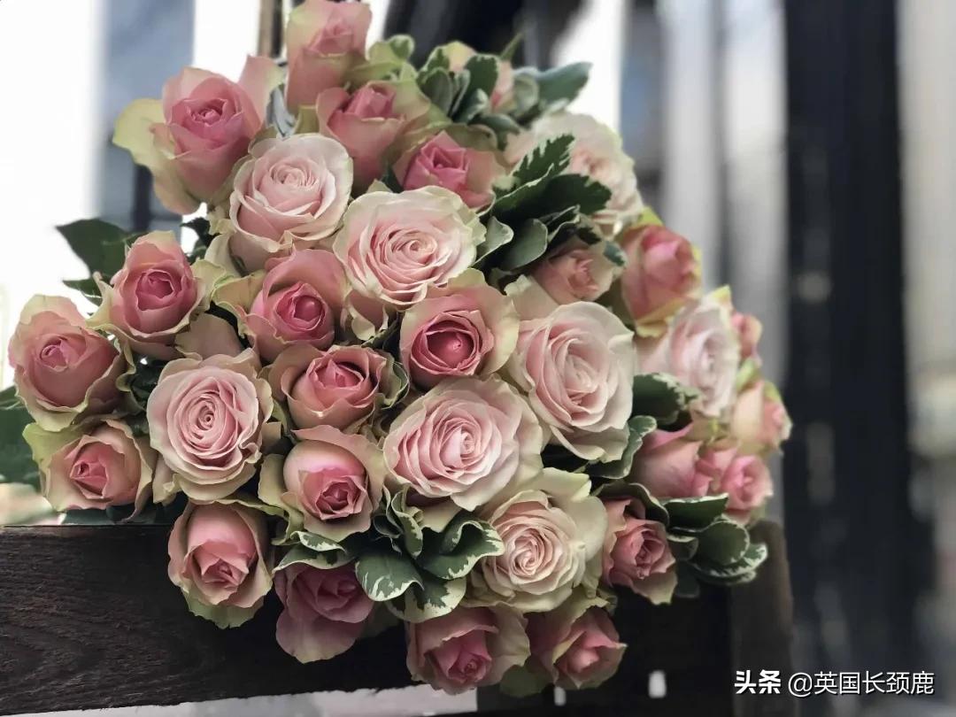 情人节来了怎么少的了fafa？英国鲜花速递服务大盘点：浪漫满分