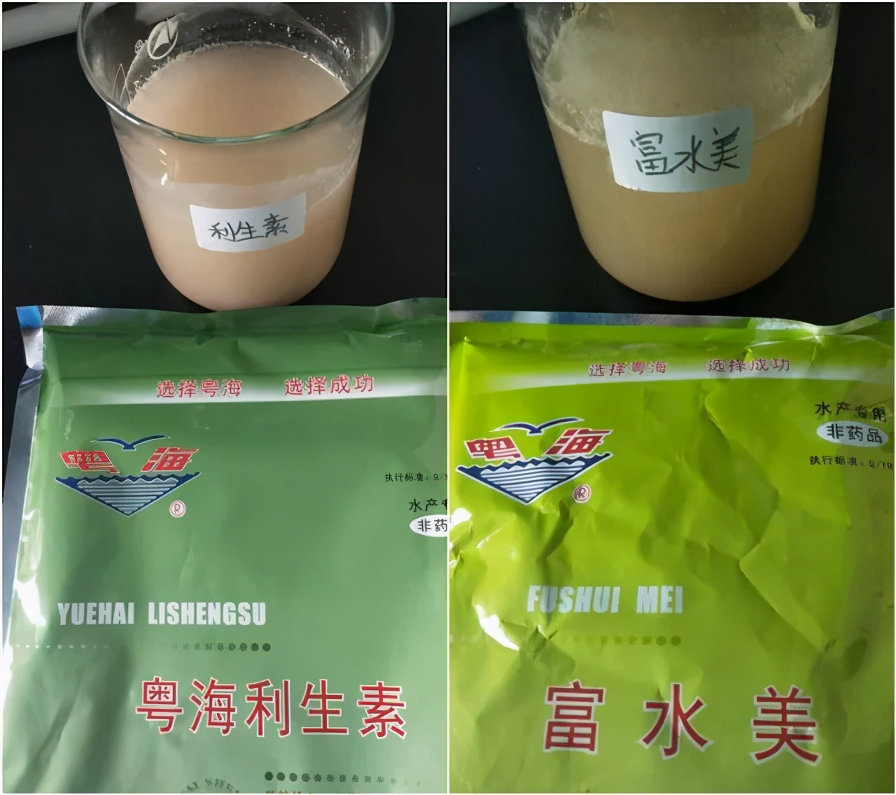 芽孢杆菌使用禁忌百菌清,正确认识硝化细菌