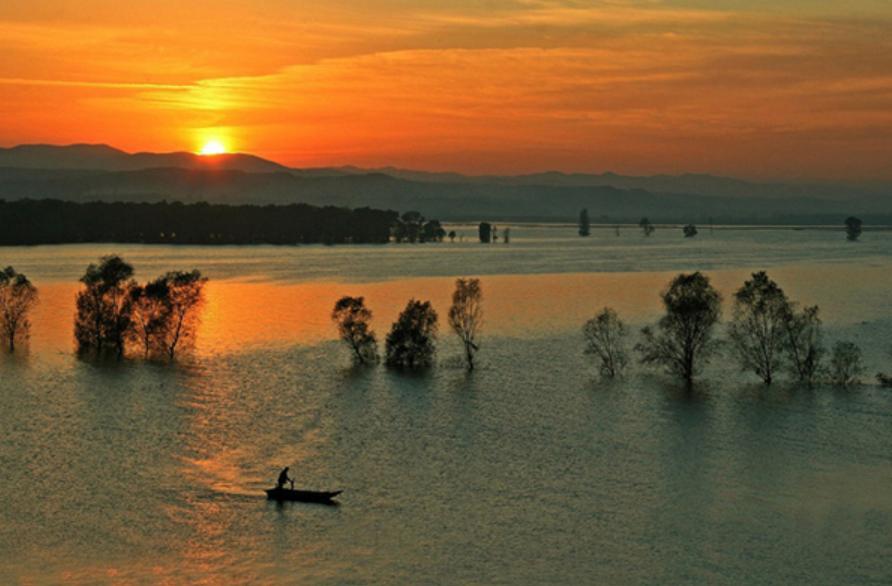 袁明忠|雪压梅枝梅压雪双铺锦地锦铺双(原创回文诗20组)