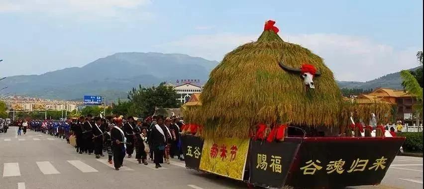 美丽云南第二季,美丽云南第二季临沧