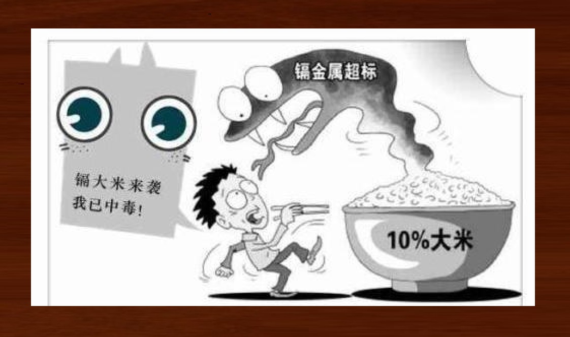 舌尖上的安全感悟,舌尖上的安全全册