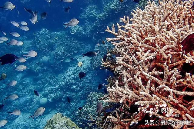 现在可以去哪些海岛旅游,现在去哪个海岛比较便宜