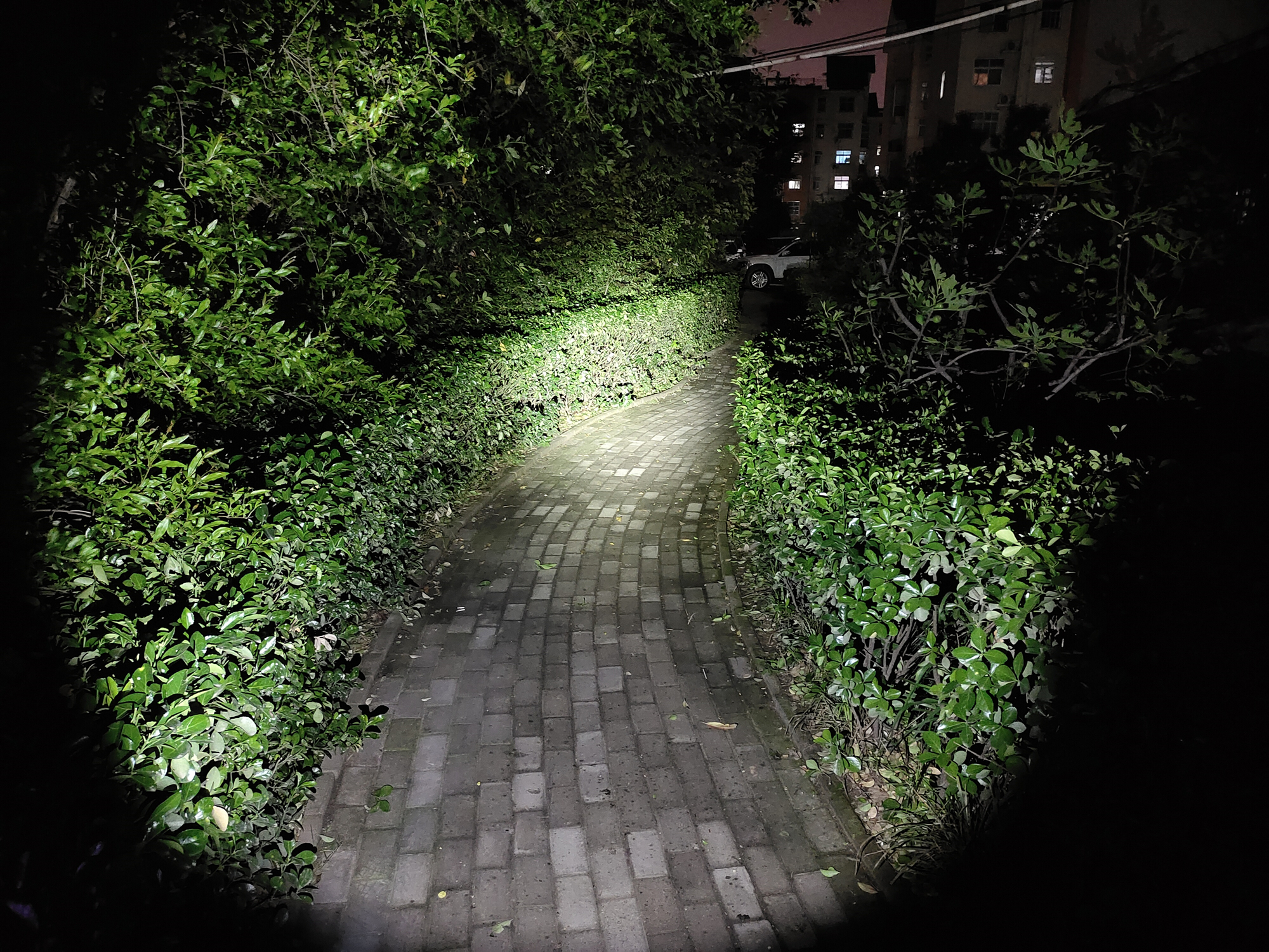 全面升级进化之作!Fenix菲尼克斯C60V3.0手电赏评