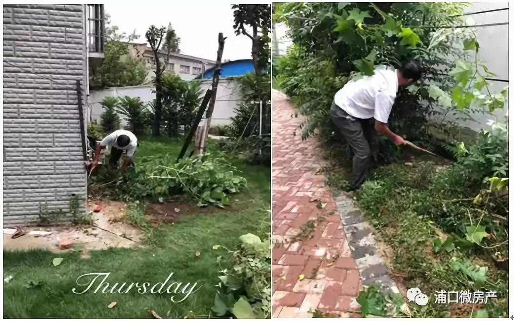 引进物业公司的收益,引入物业