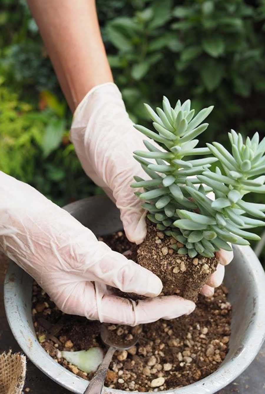 家居收纳日本主妇收纳秘笈大公开,日本主妇如何收纳冰箱蔬菜