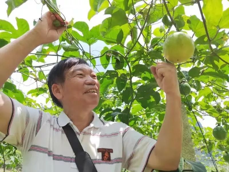 中农富玉大事记,中农富玉未来发展趋势