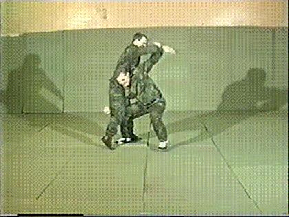 格斗式桑搏的标准动作,桑搏格斗术实战