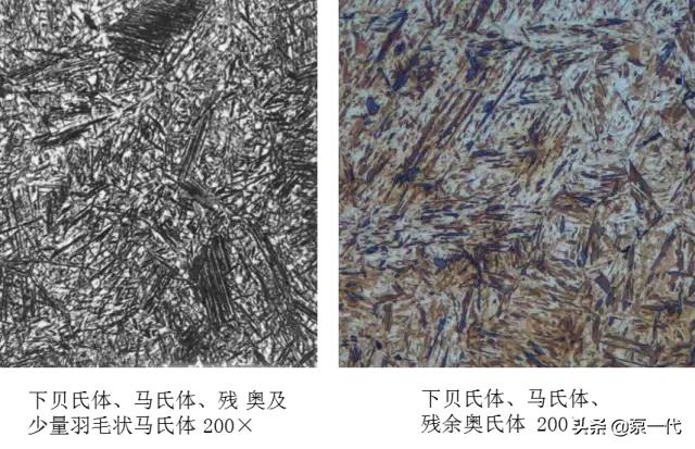 马氏体、奥氏体、珠光体,20种材料彩色金相,带你轻松识别