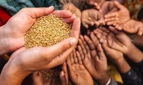 粮食短缺饥荒最新消息,全球饥荒爆发粮食危机