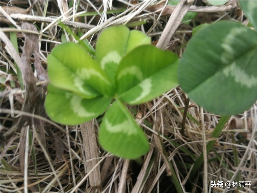 安徽池州有什么好的地方,安徽池州最值得去的九个地方
