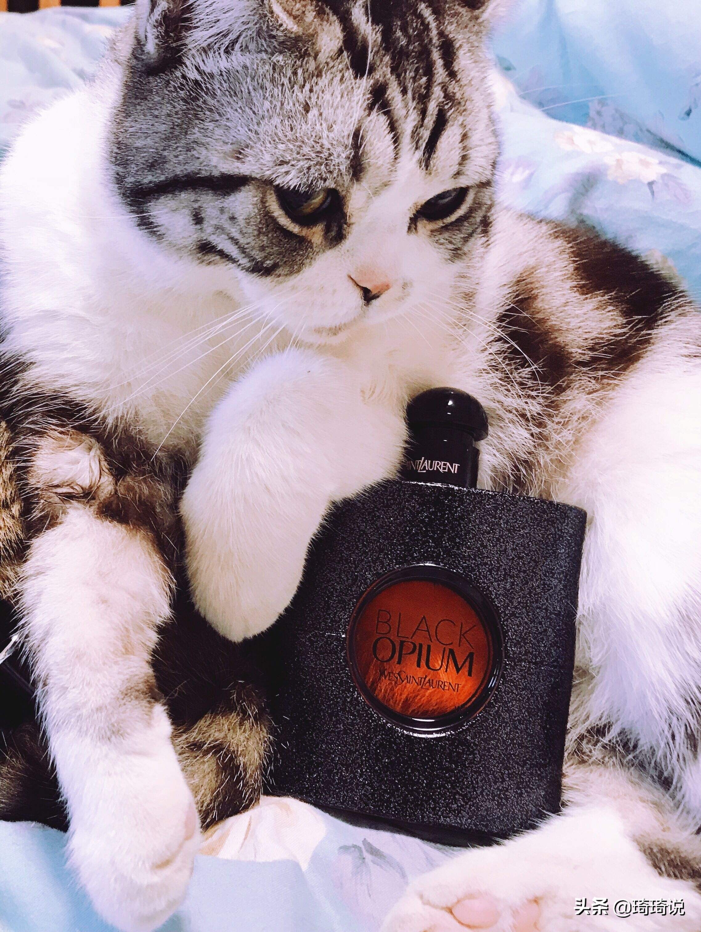 你用了哪一款香水,它也是精致女人的代表