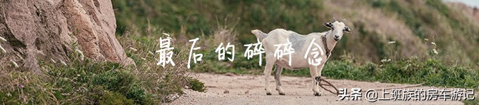 花鸟岛和枸杞岛攻略,海花岛攻略带你玩转海花岛