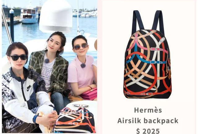 袁咏仪的爱马仕包包大盘点,袁咏仪有多少爱马仕包包