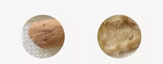 猫咪呕吐水样白色泡沫是什么原因,猫咪呕吐的原因及处理方法