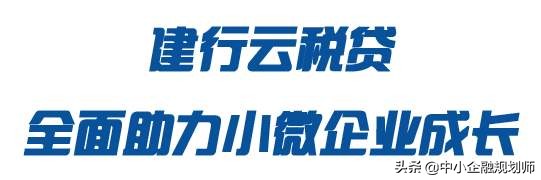 年交税100万云税贷能贷多少,建设银行云税贷案例