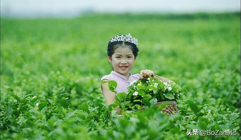 广西乡下田园最美风景图片,广西十大最美风景区