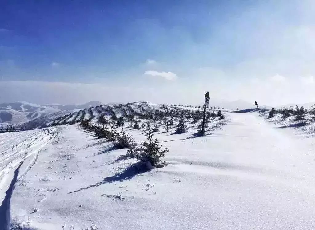 张家口各个滑雪场票价,张家口滑雪场是天然雪还是人造雪