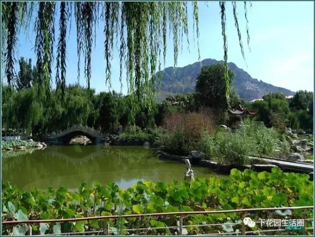 芳华70,芳华70年代的回忆