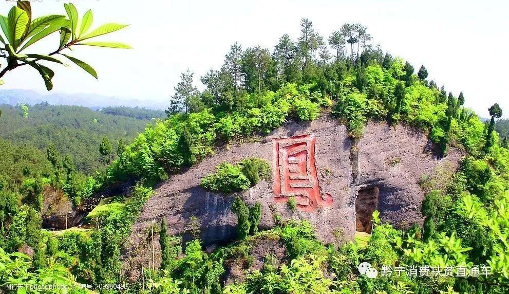 凤冈锌硒茶真的有锌硒吗,凤冈锌硒茶是田坝产的吗