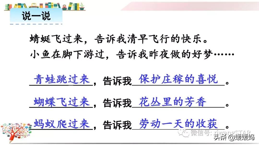 三年级下册荷花ppt课件部编版,三年级下册语文第三课荷花小练笔
