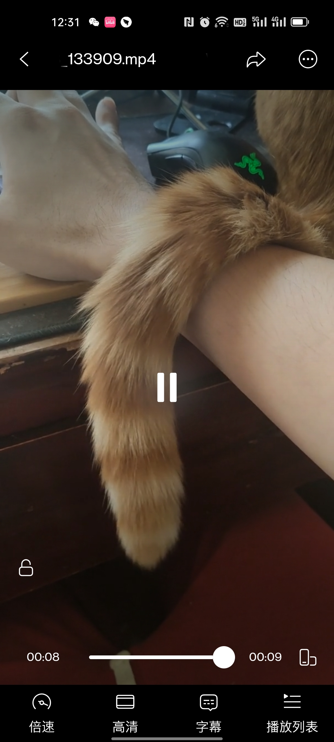 双十一换手机要不要再等等,双十一换手机的条件