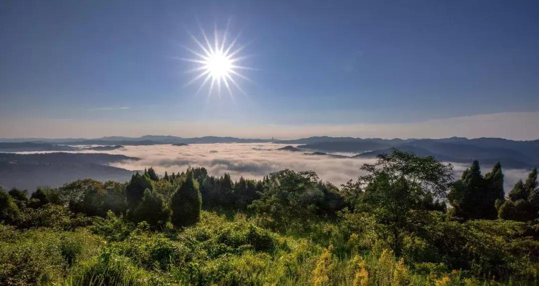 全球最大的城市森林公园,全球最绿色的城市