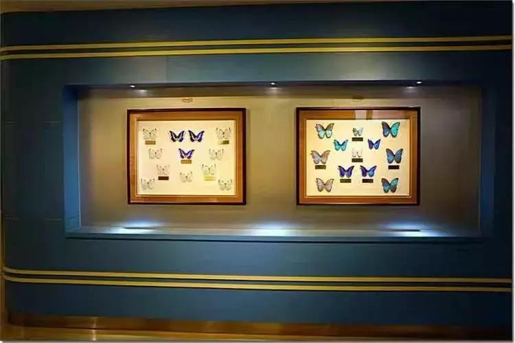 适合遛娃的亲子博物馆,周末遛娃好去处自然博物馆