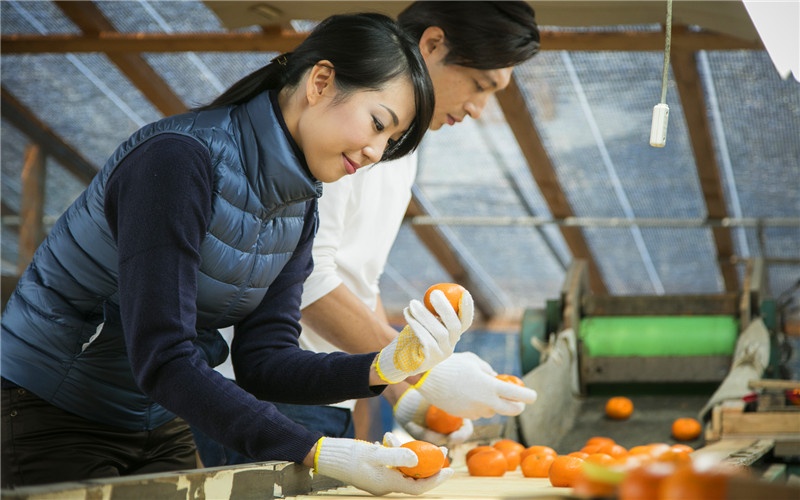 100个农村小型办厂项目,农村小型加工办厂项目有哪些