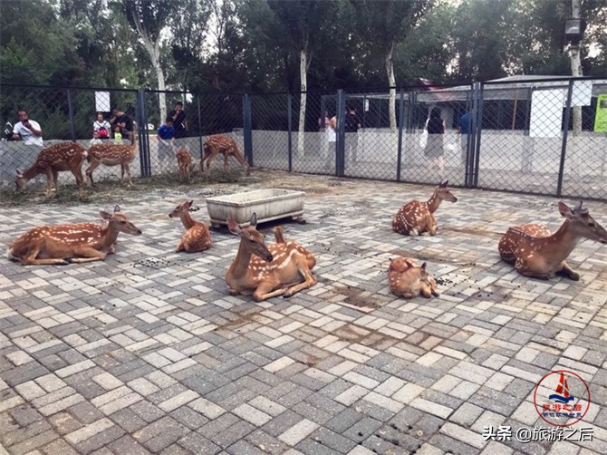 生态岛森林旅游,中国最美森林岛