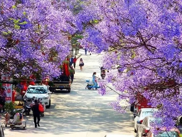 成都这座古城从不缺幻想和故事,四川藏着一个静谧古城