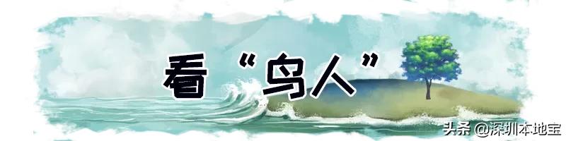深圳大梅沙免费,深圳大梅沙免费入园