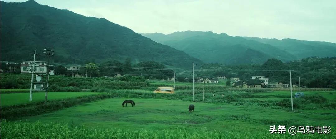 “你留下邮箱吧，我把资源发给你。”