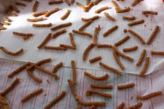 饵料用不完，就别再扔了，这才是最佳的处理方式，十之八九你不知