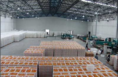 网上买水果一小时送到app,网上买水果和超市有什么区别