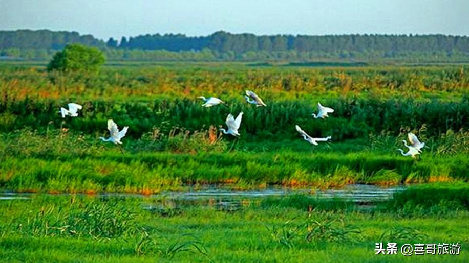 双鸭山出发旅游景点大全,黑龙江双鸭山有什么旅游景点