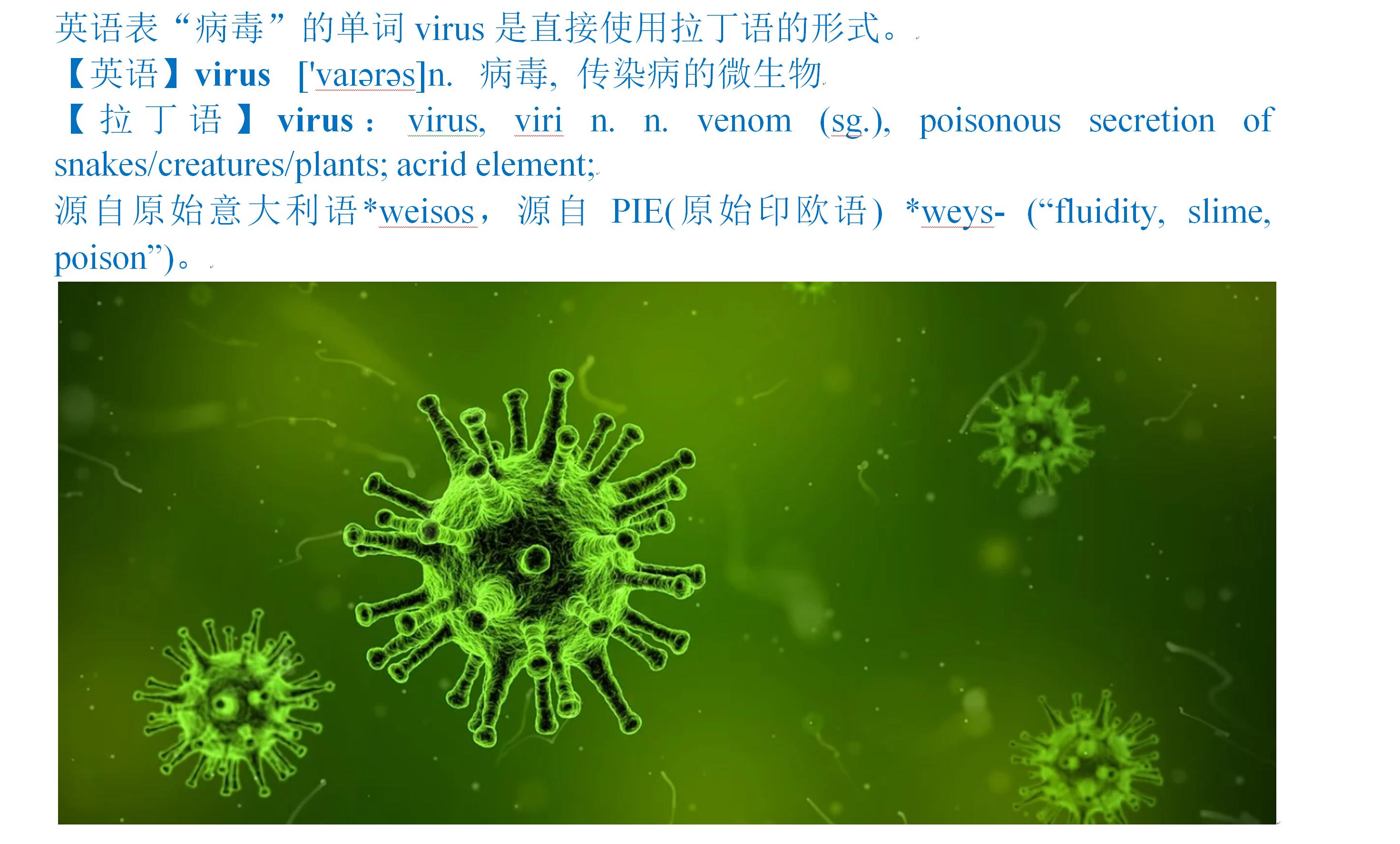有关于新型冠状病毒的英语词组,冠状病毒英语单词怎么读
