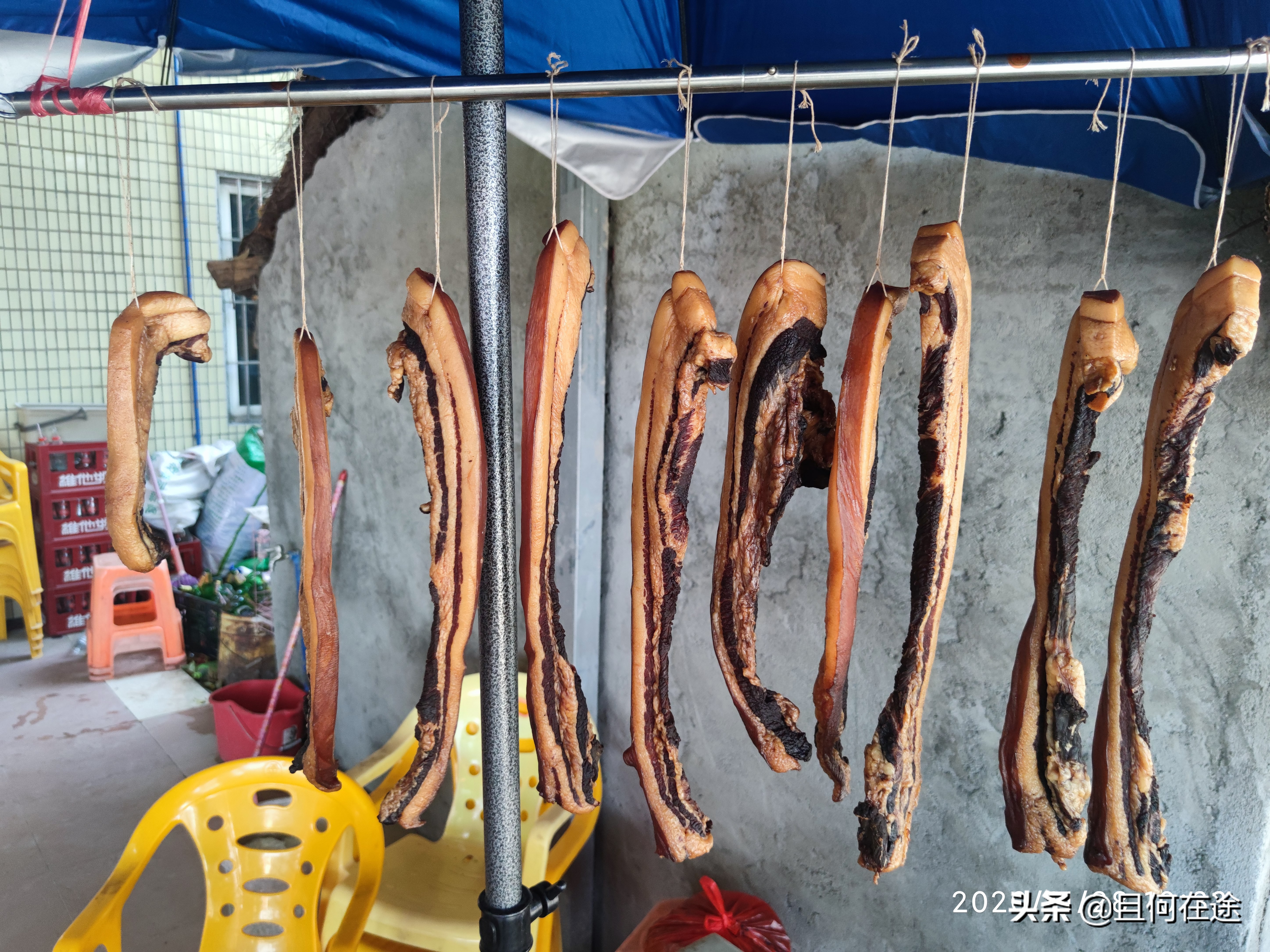 为什么要把饭碗牢牢端在自己手中,怎样才能把自己饭碗端在自己手里