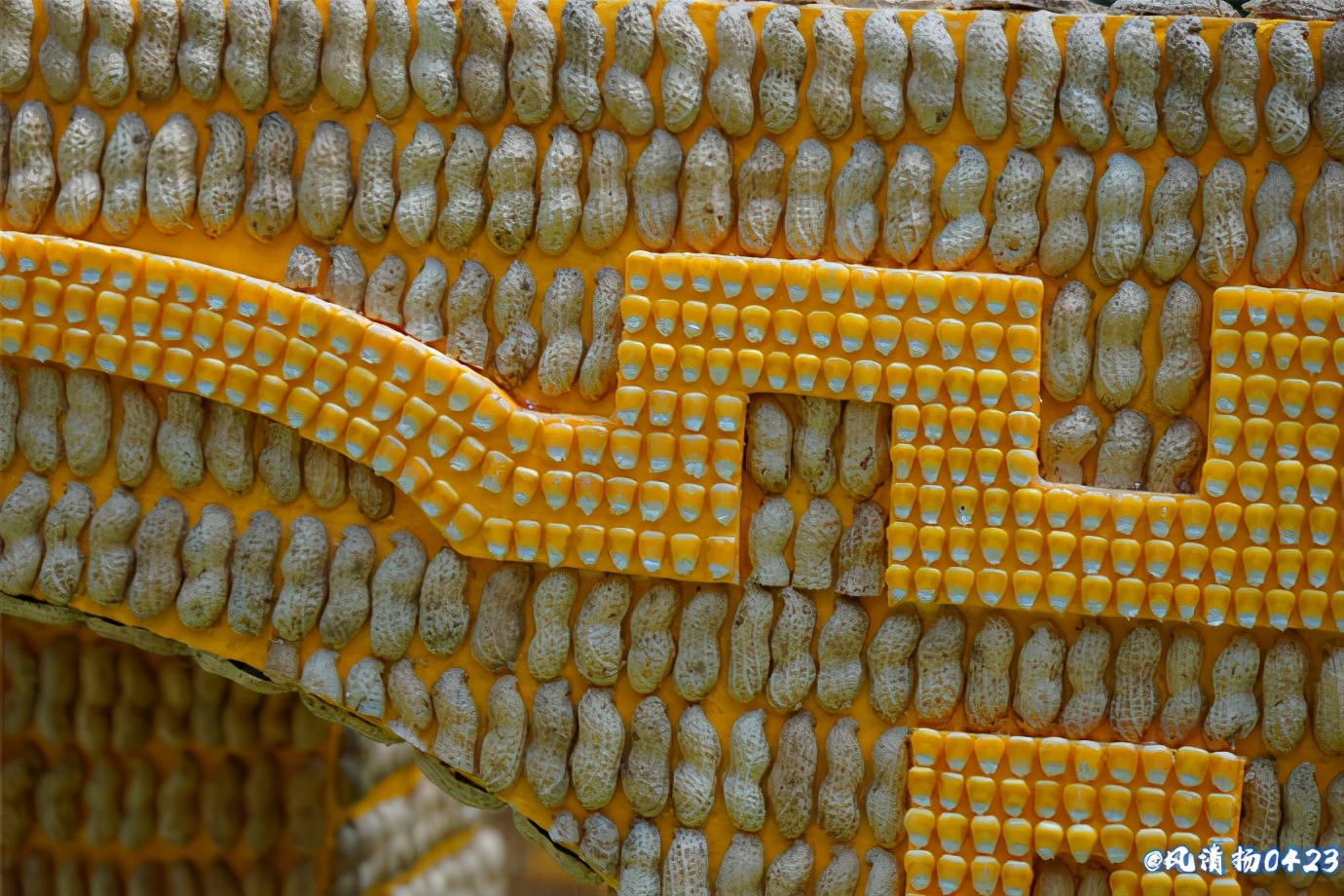 菜博会第一届,2022年菜博会天下情怀景观