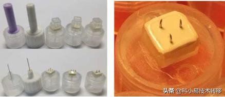 「项目精选」103期：生物医药领域精选科技成果推荐