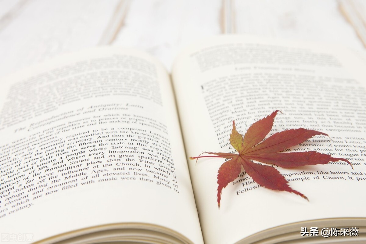 分别后不知君远近,别后不知君远近相逢犹恐是梦中