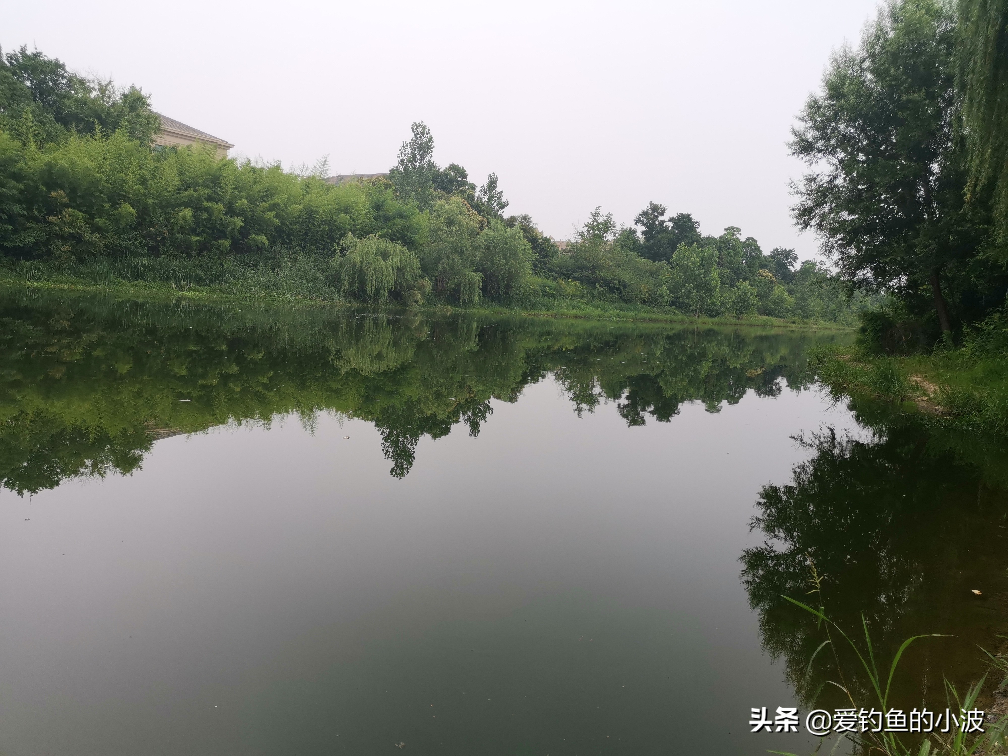 串钩3钩台钓可以吗,台钓用三本钩能钓到鱼吗